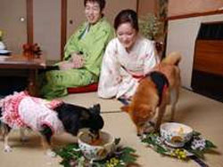 �����Ńy�b�g�Ɣ��܂��h