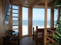 ���Ńy�b�g�Ɣ��܂��h