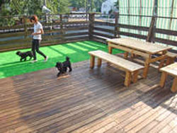 �V���Ńy�b�g�Ɣ��܂��h